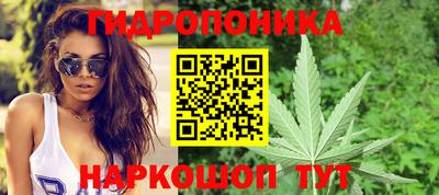 гидропоника Брянск