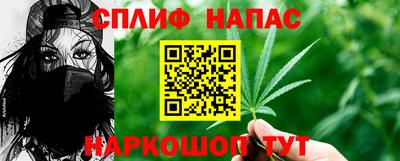 гидропоника Брянск
