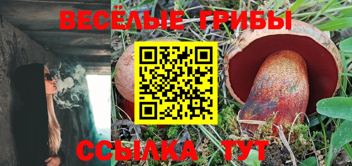 Псилоцибиновые грибы MAGIC MUSHROOMS  купить наркотики сайты  Орёл  Вход с VPN 